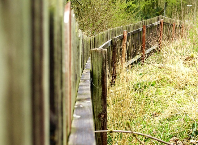 damaged wood fence