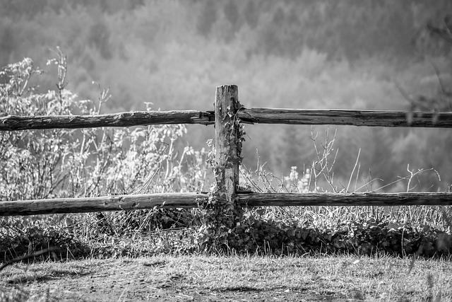 damaged wood fence