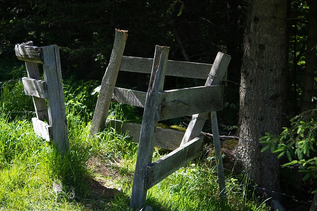 damaged wood fence