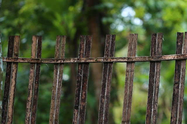 damaged wood fence