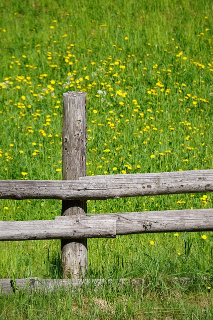 damaged wood fence