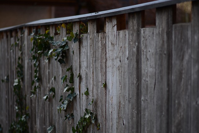 damaged wood fence