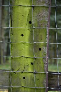 damaged-wood-fence-640x480-93267568.jpeg