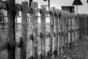 fence-640x480-22209038.jpeg
