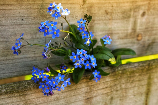 fence contractors near me