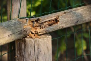 fence-repair-640x480-53108492.jpeg