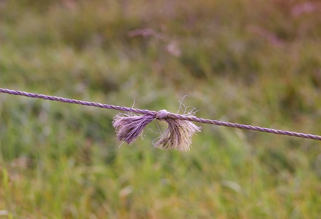 fence repair
