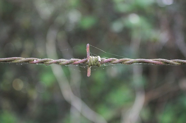 fencing