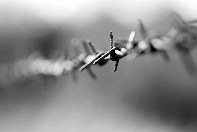fencing