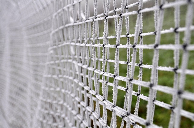 fencing