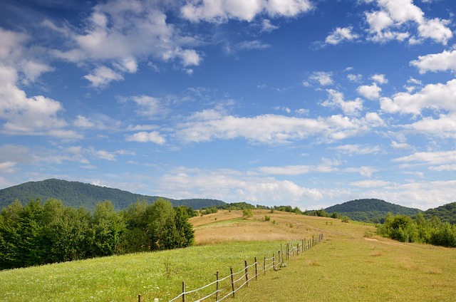 fencing