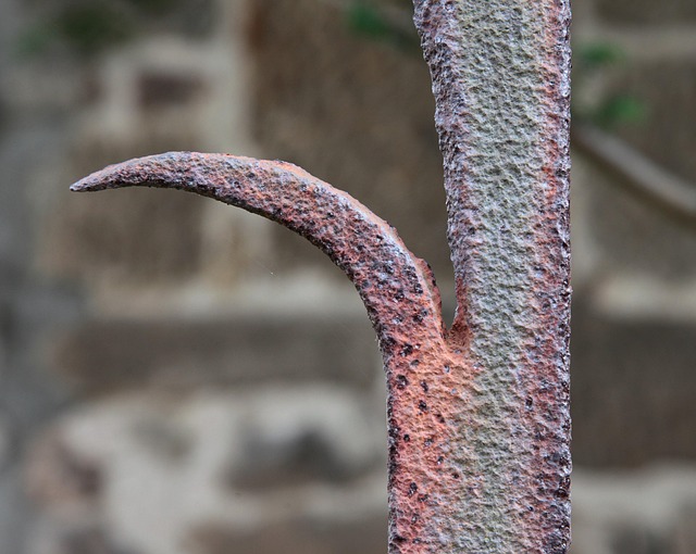 iron fence