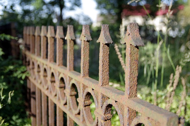 iron fence