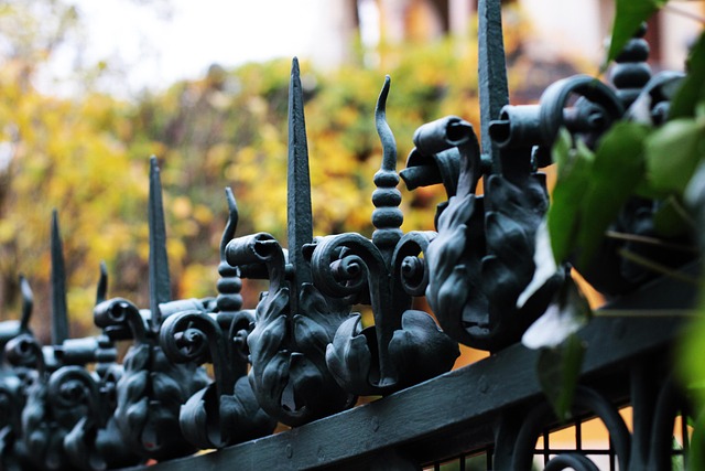 iron fence
