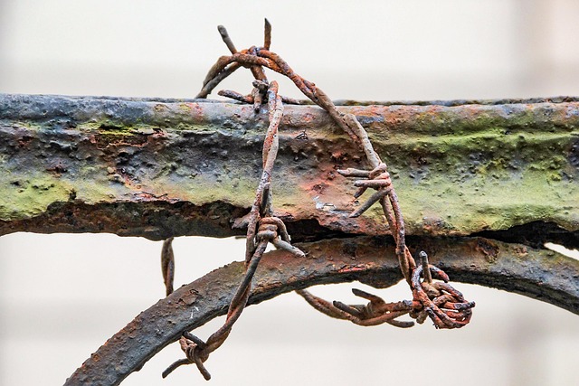 iron fence
