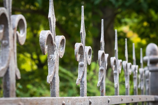 iron fence