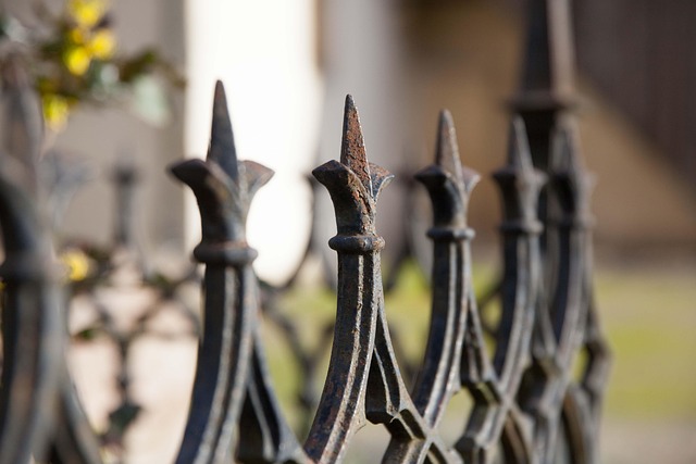 iron fence