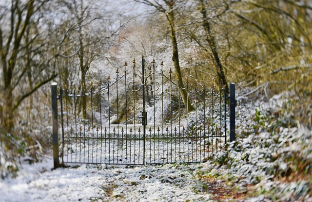 iron fence