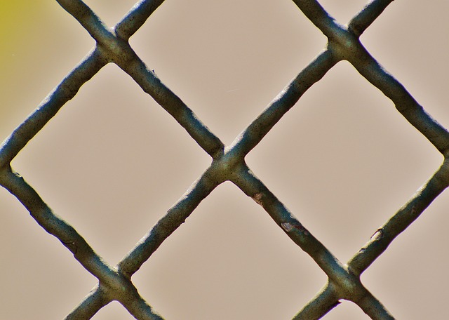 iron fence