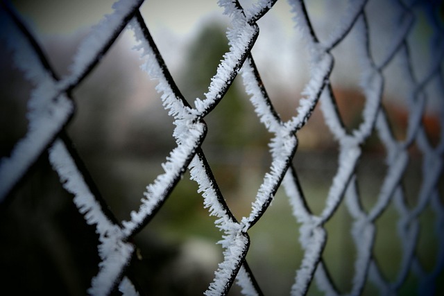 iron fence