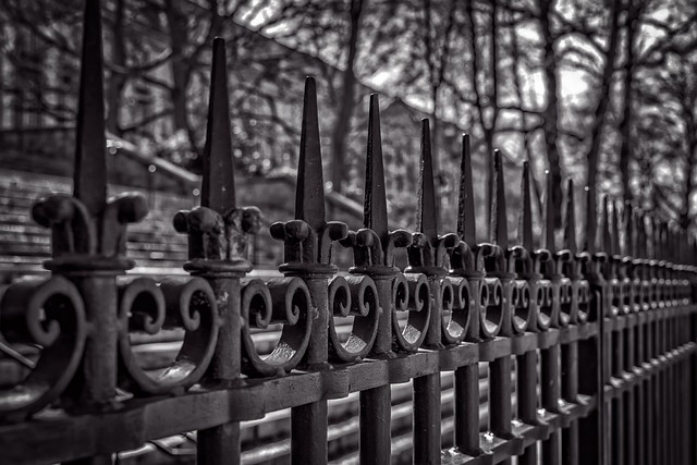 iron fence