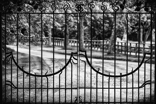 iron fence
