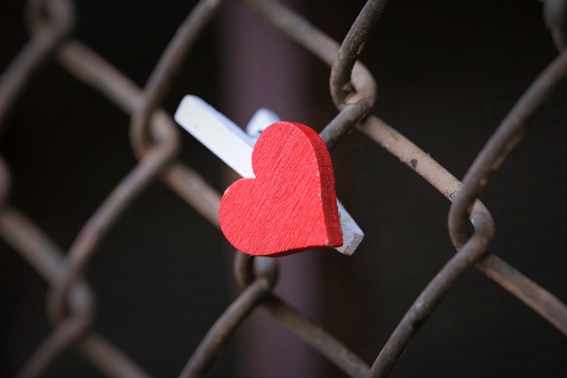 iron fence