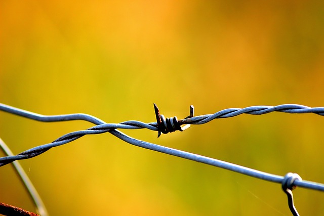 iron fence