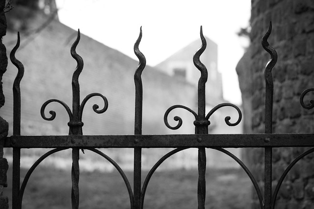iron fence