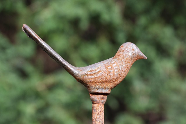 iron fence