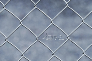 npressfetimg-18.png