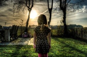 privacy-fence-640x480-313505.jpeg