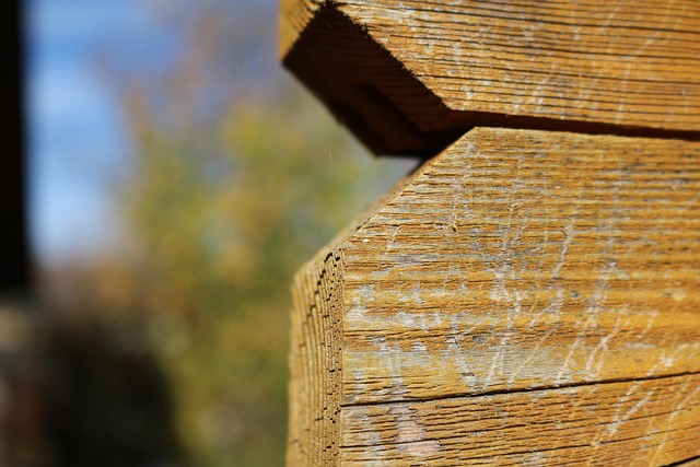 privacy fence