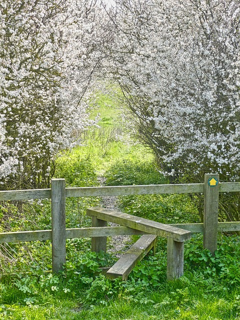 residential fencing