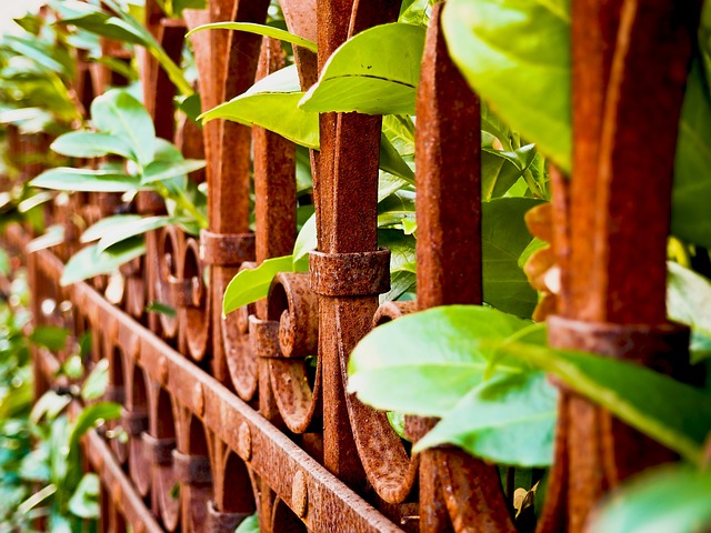 rusted fence