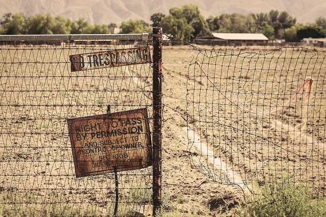 rusted fence