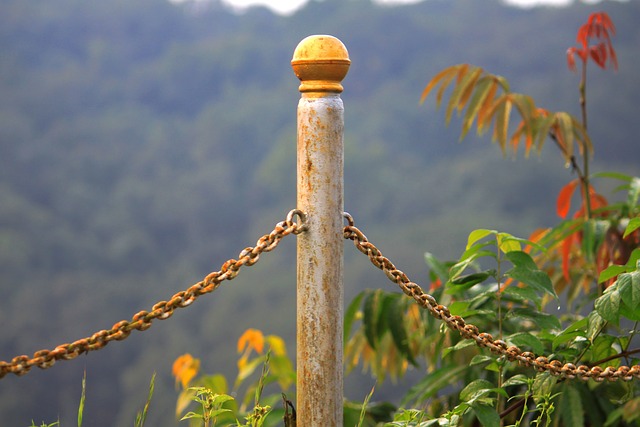 rusted fence