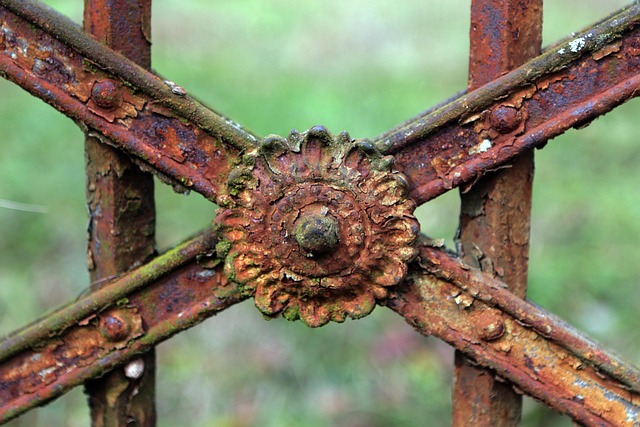 rusted fence