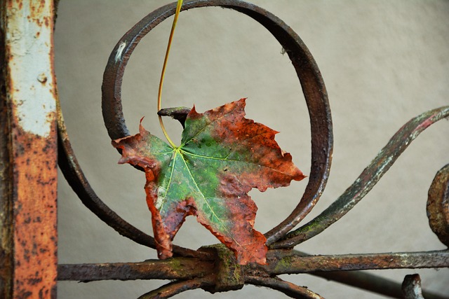 rusted fence
