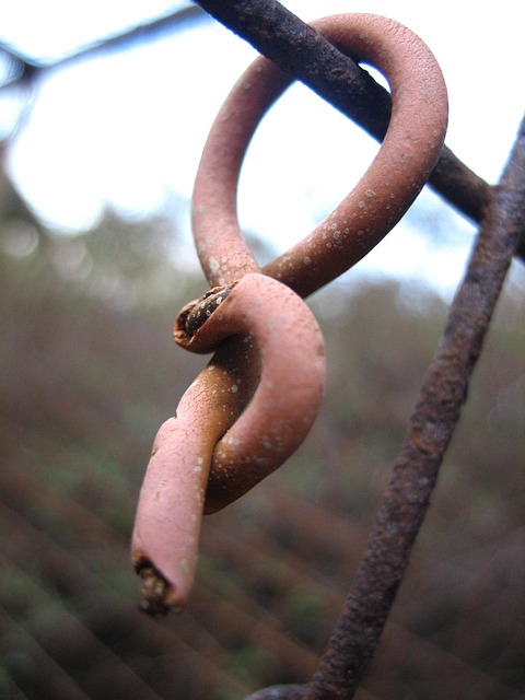 rusted fence