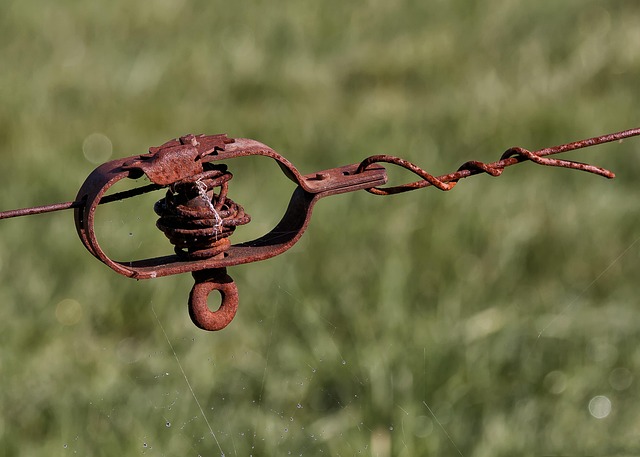 rusted fence