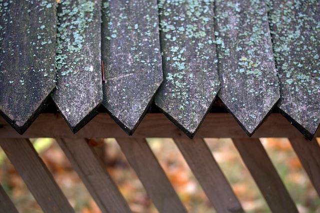 wood fence