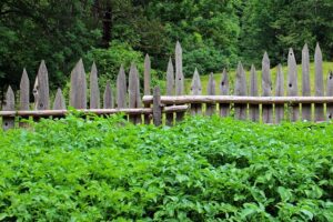 wood-fence-640x480-21747682.jpeg