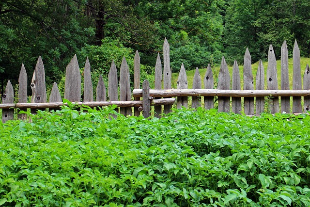 wood fence