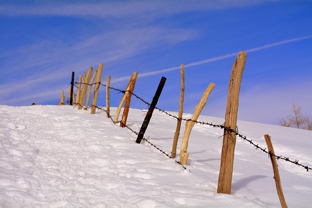 wood fence