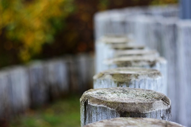 wood fence
