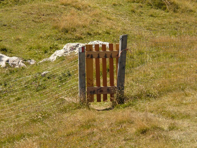 wood fence