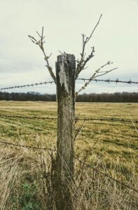 wood-fence-640x480-50905555.jpeg