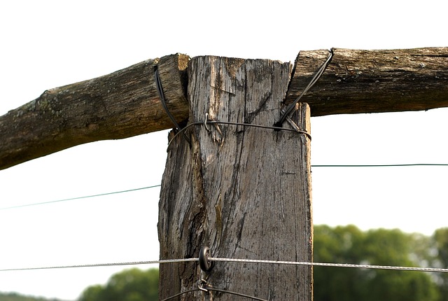 wood fence