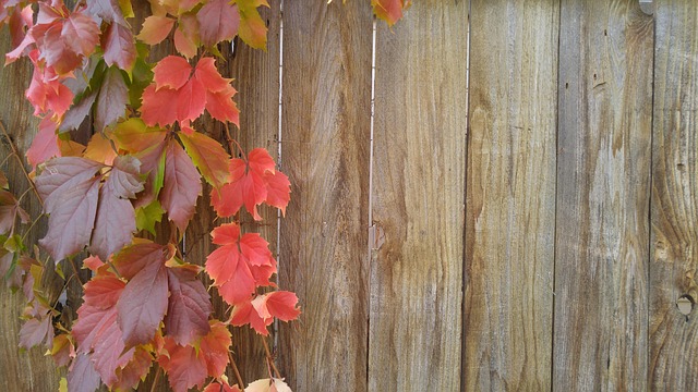 wood fence